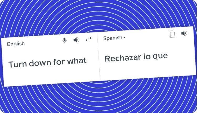 Funny wrong translations - Lara Translate