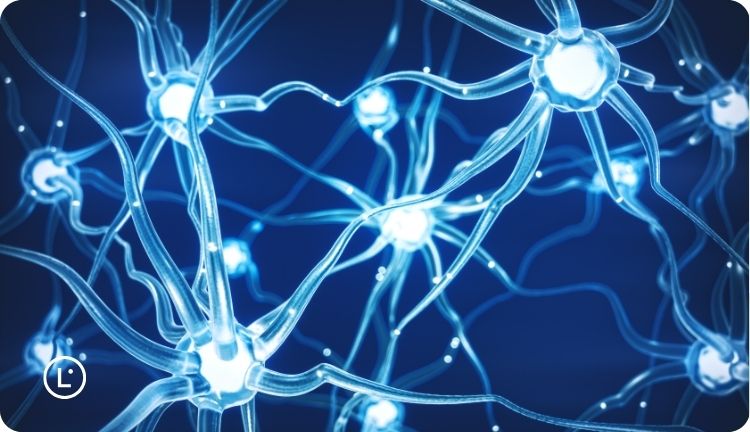 Understanding AI translation technology - Lara Translate