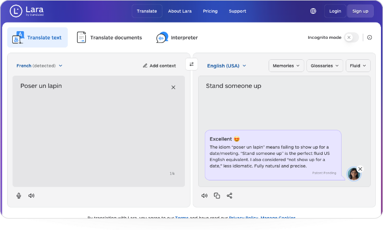 Best Free AI Tool to Translate - Lara Translate Vs. DeepL