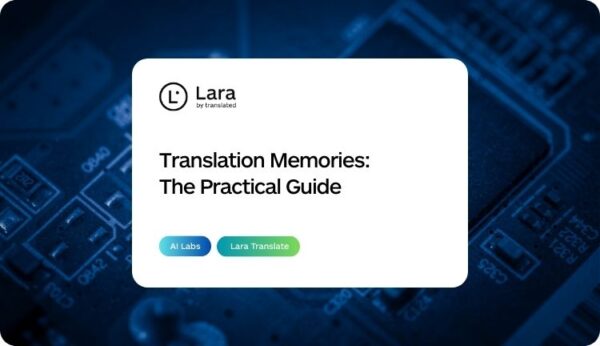 Translation Memories - Lara Translate Guide