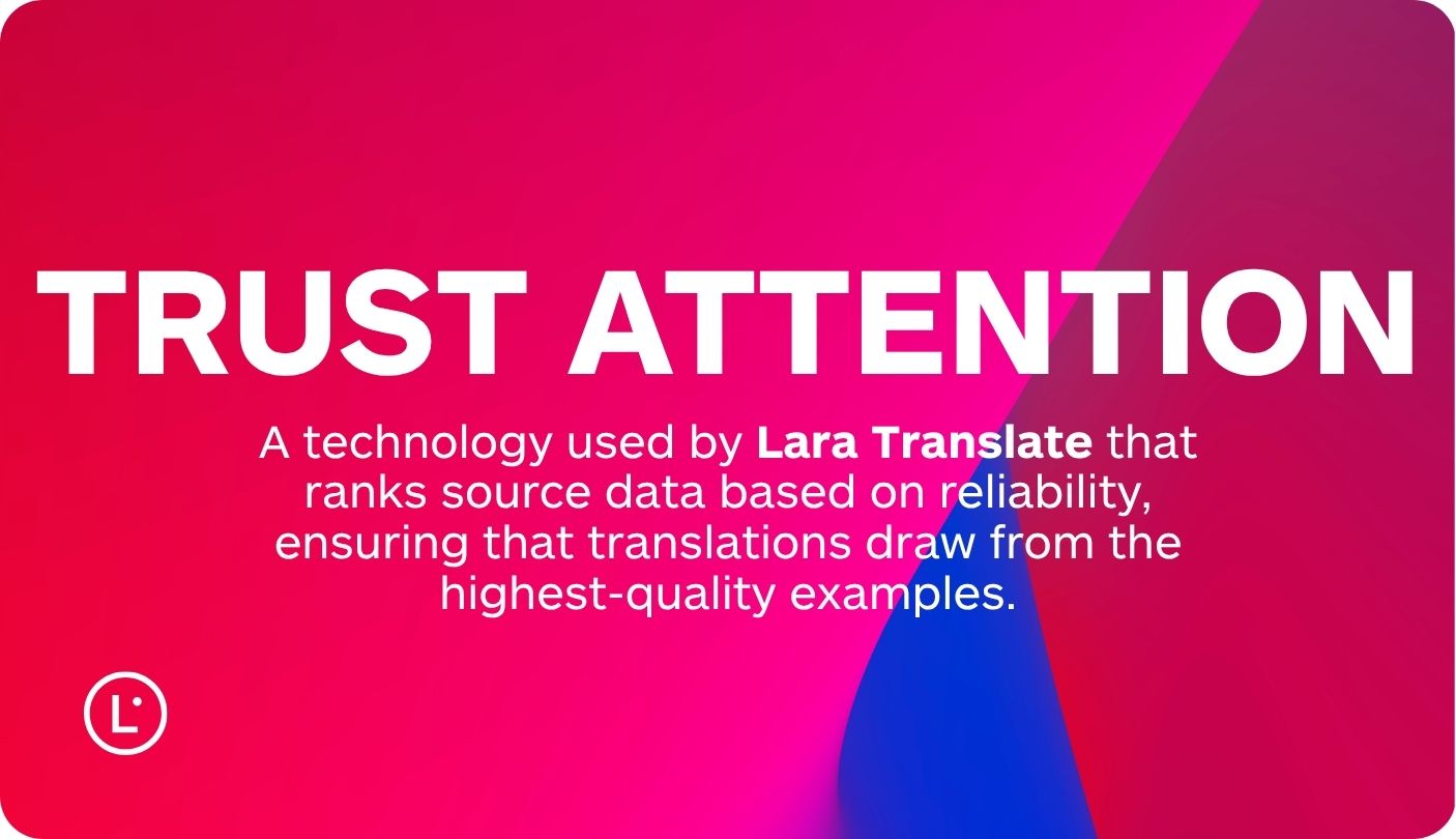 website-localization-best-practices-lara-translate