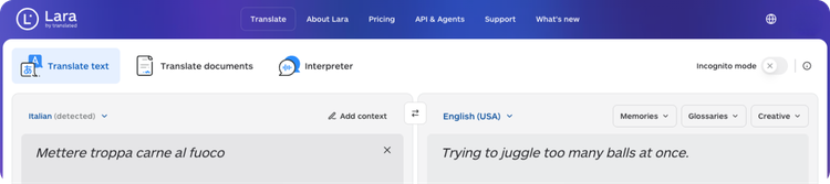 italian-idioms-you-cant-translate-literally-mettere-troppa-carne-al-fuoco