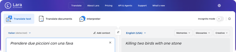 italian-idioms-you-cant-translate-literally-prendere-due-piccioni-con-una-fava