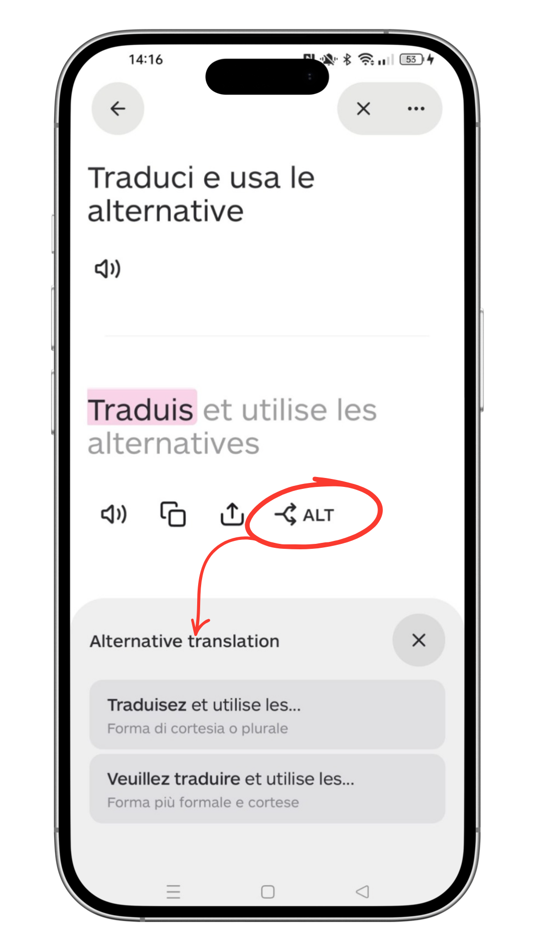 Lara Translate August 2026 updates - translation memories iOS