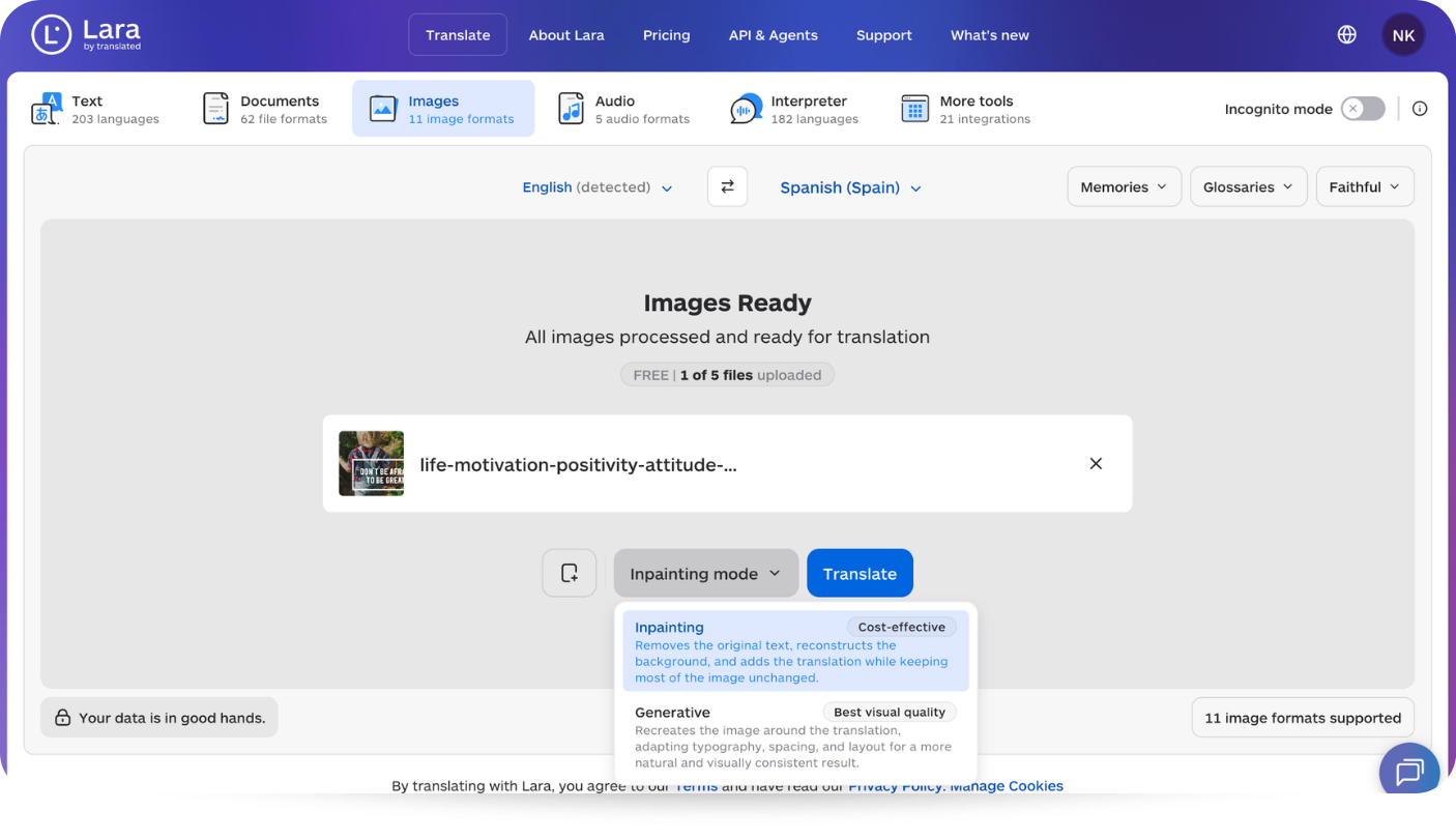 OCR-lara-image-to-image-translation-translate